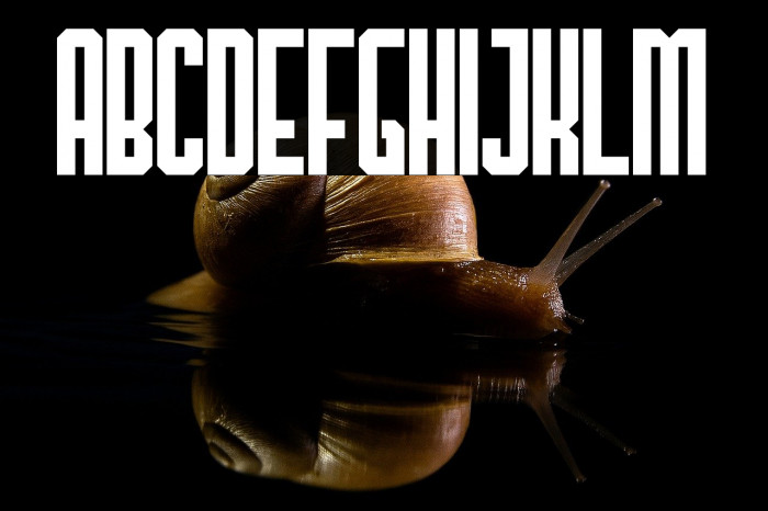 TheHangoverDecadeRegular Example 3