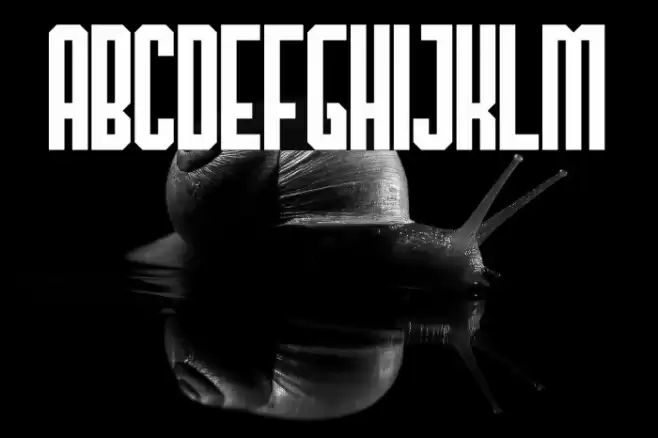 TheHangoverDecadeRegular Fuentes examples