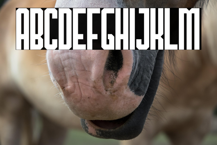 TheHangoverDecadeRegular Example 1