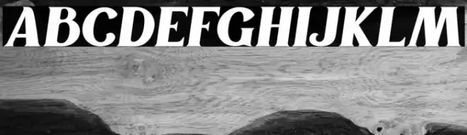 TheHouls Font examples