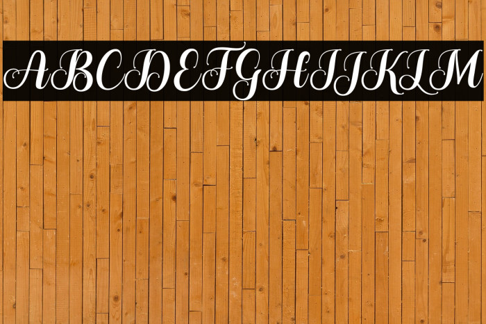 TheHumbleScript Example 2