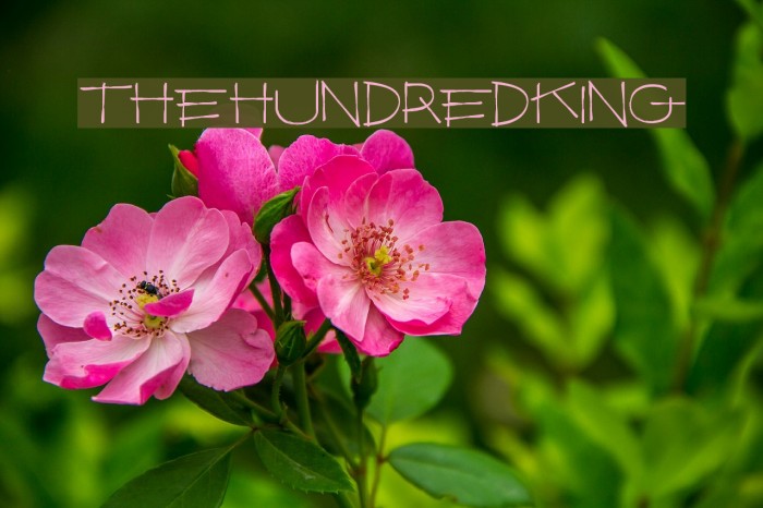 TheHundredKing Example 1