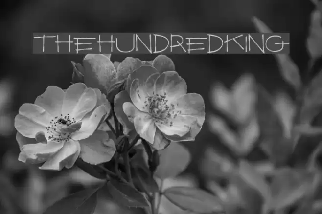 TheHundredKing Font examples