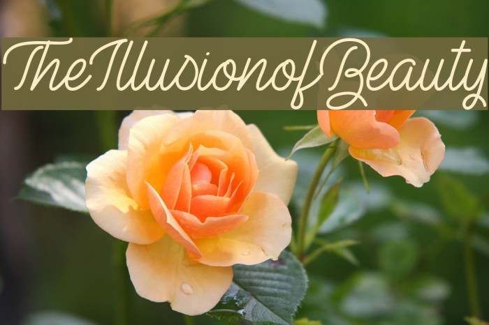 TheIllusionofBeauty Font examples
