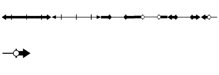 TheInequalityGrapher Font LOWERCASE