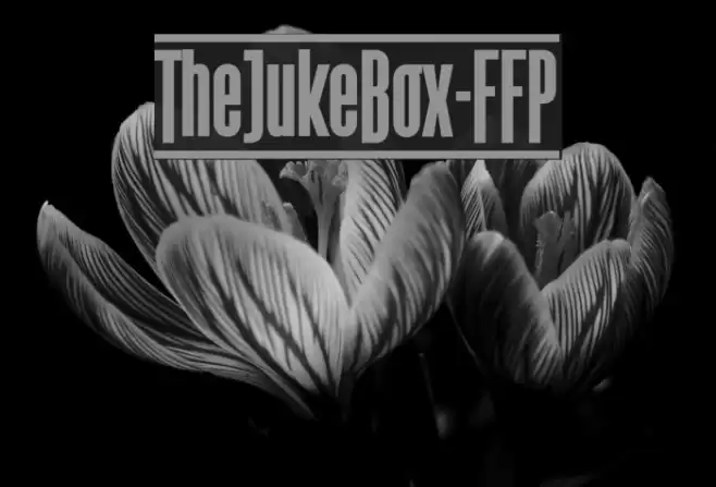 TheJukeBox-FFP Fuentes examples