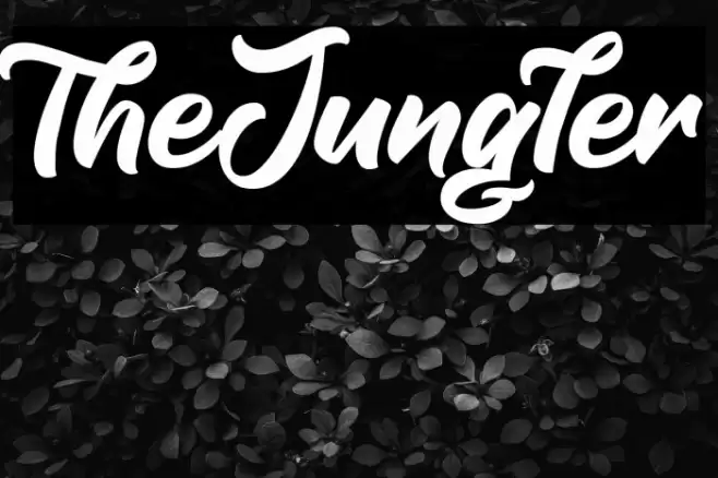 TheJungler Font examples