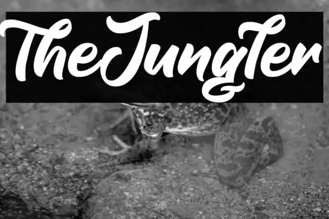 TheJungler Font examples