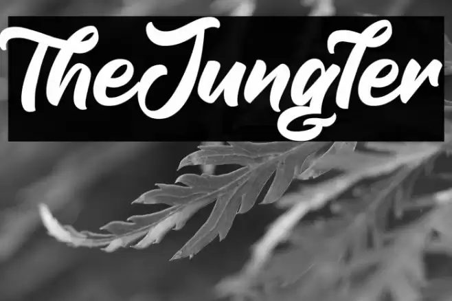TheJungler Font examples