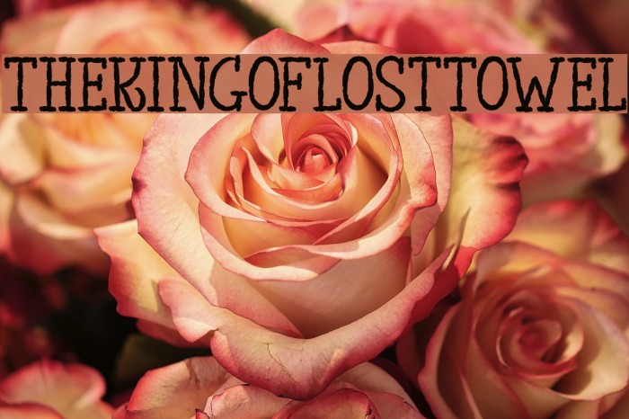 TheKingofLostTowel Font examples