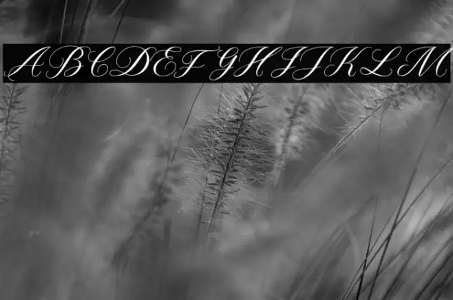 TheLantak Font examples