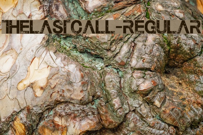 TheLastCall-Regular Font examples