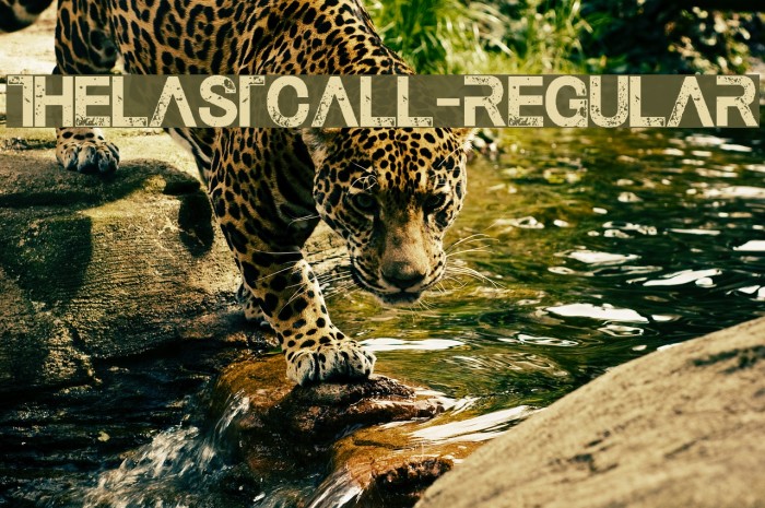 TheLastCall-Regular Font examples