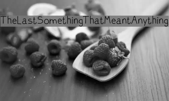 TheLastSomethingThatMeantAnything フォント examples