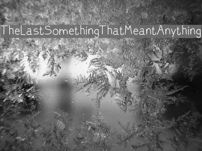 TheLastSomethingThatMeantAnything フォント examples