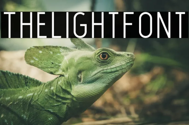 TheLightFont Example 1