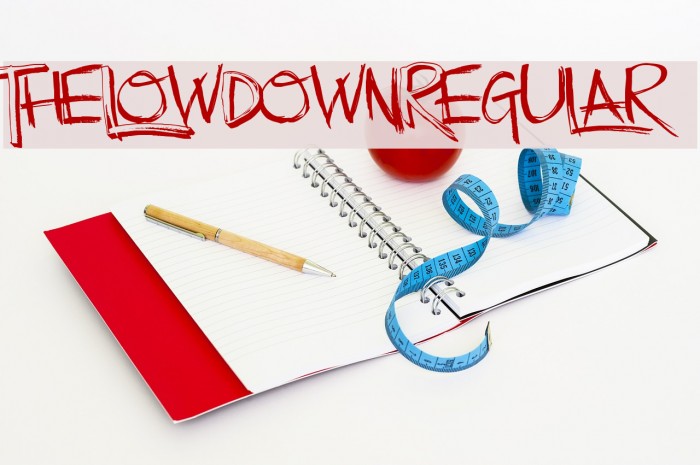 TheLowDown-Regular Font examples