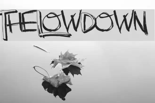 TheLowDown Schriftart examples