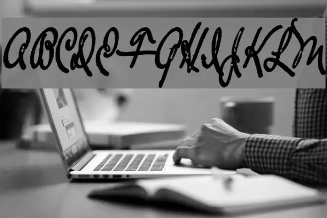 TheLoyalistExtraBold Font examples