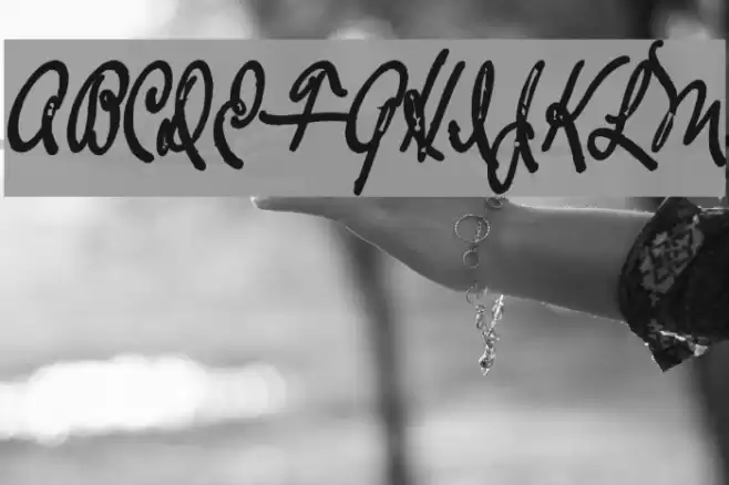 TheLoyalistExtraBold Font examples