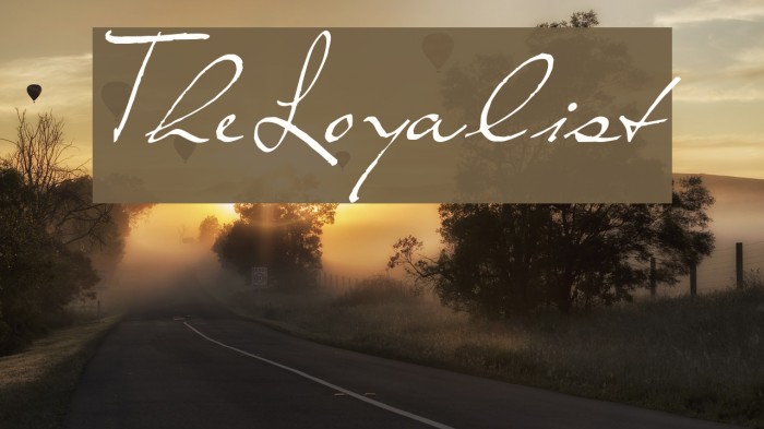 TheLoyalist Example 1