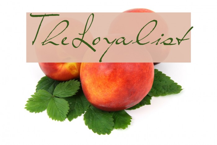 TheLoyalist Example 2