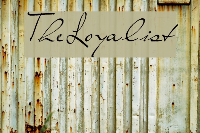 TheLoyalist Example 3