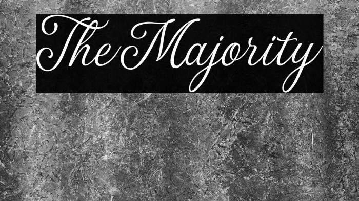 TheMajority Example 2