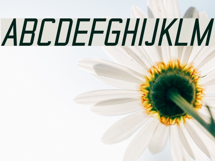 TheMatic Bold Italic Font examples
