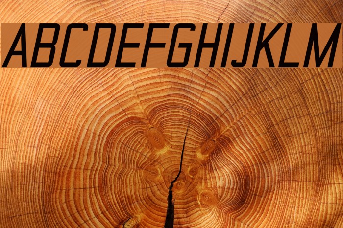 TheMatic Bold Italic Font examples