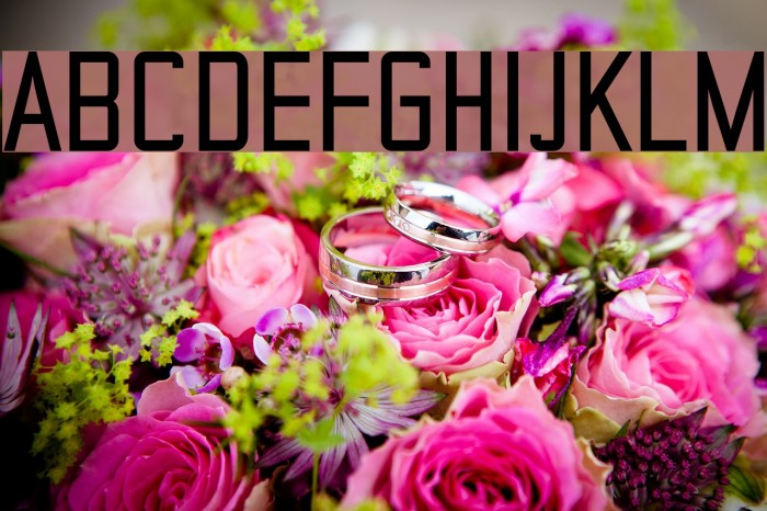 TheMatic Bold Font examples