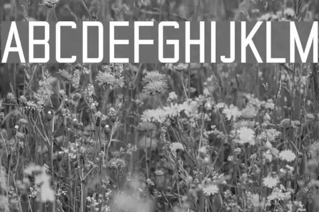 TheMatic Bold Font examples