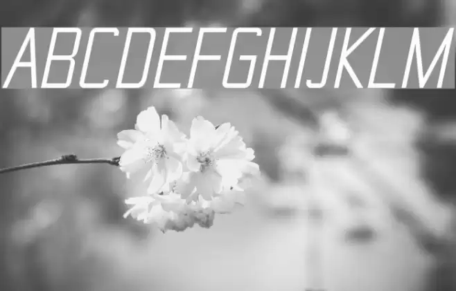 TheMatic Italic Font examples