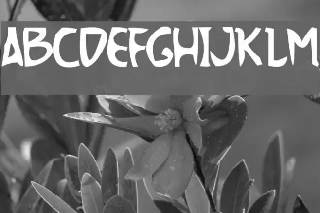 TheMoment Font examples