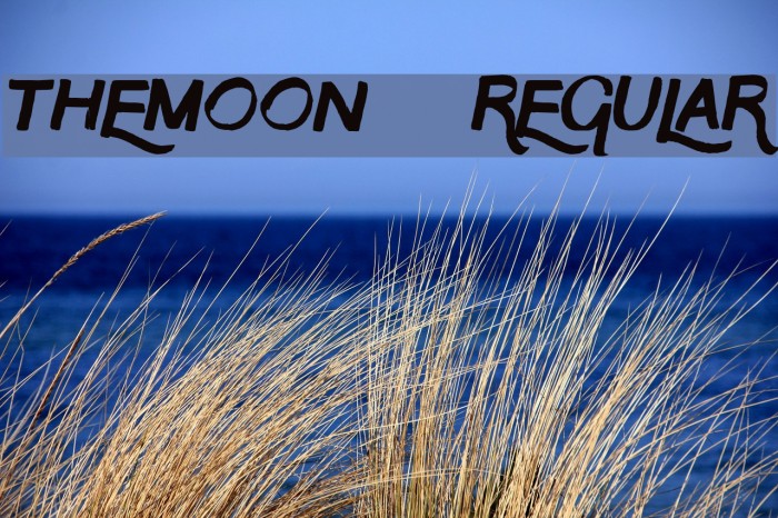 TheMoon-Regular Font examples