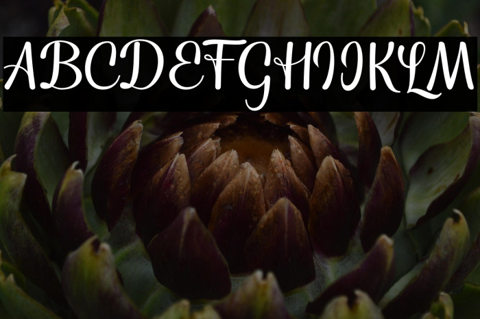 TheNightfall Example 2