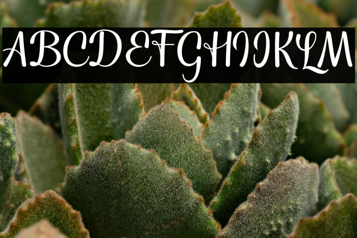 TheNightfall Example 3