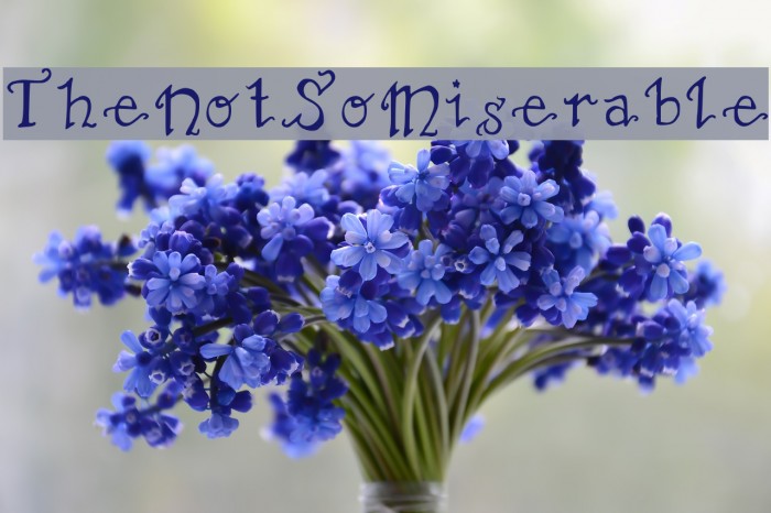 TheNotSoMiserable Font examples