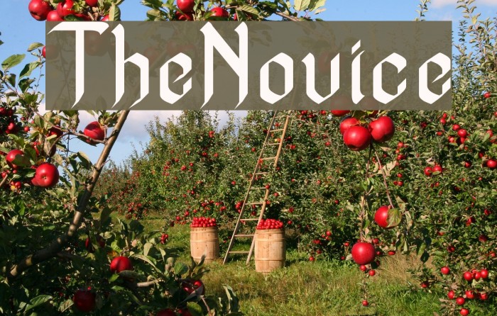 TheNovice 字体 examples