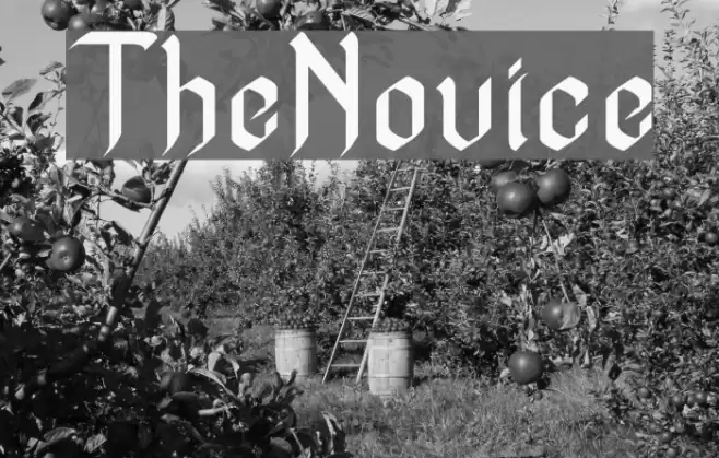 TheNovice Font examples