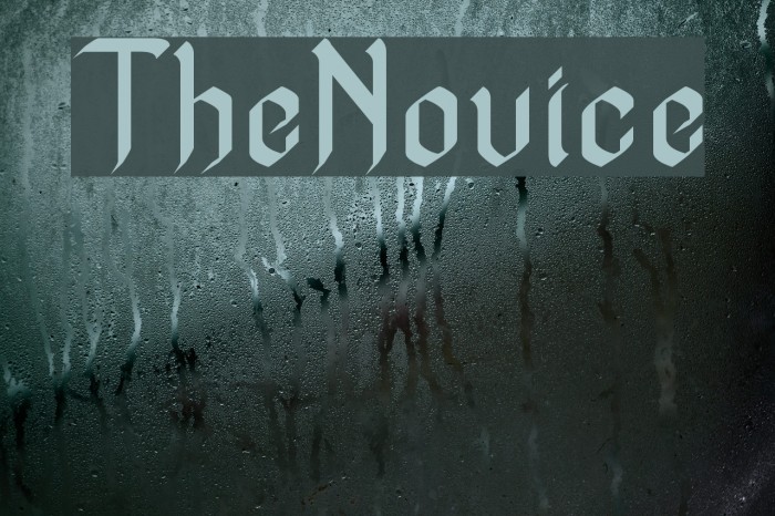 TheNovice 字体 examples