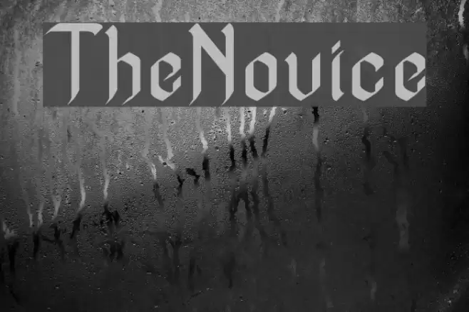 TheNovice Font examples