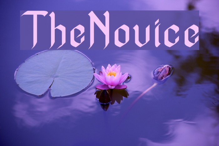 TheNovice 字体 examples