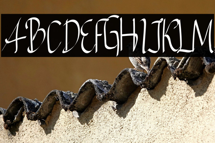 TheOxcelloRegular Example 2