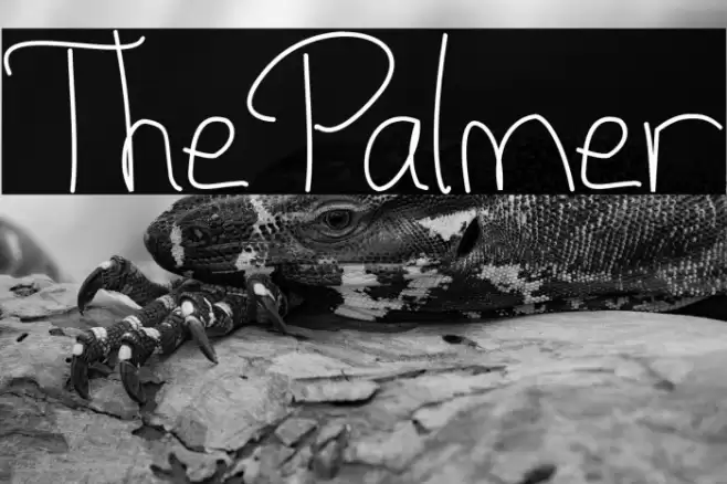 ThePalmer Font examples