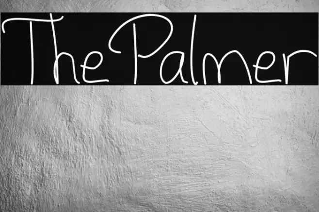 ThePalmer Font examples