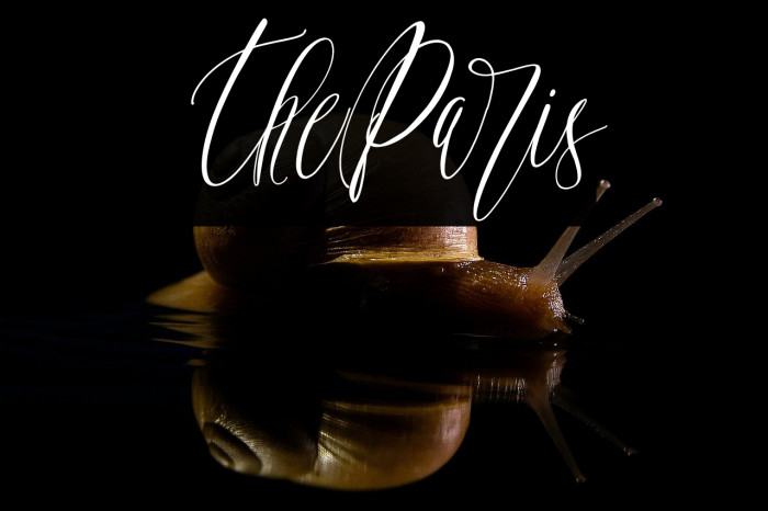 TheParis Example 2