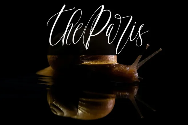 TheParis Example 2