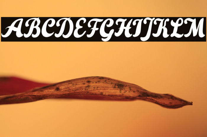 ThePoisonedHeart Example 2