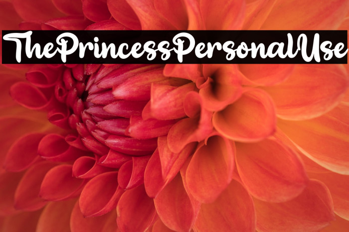 ThePrincessPersonalUse Example 1
